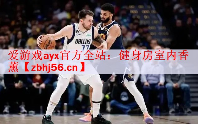 健身房室内香薰