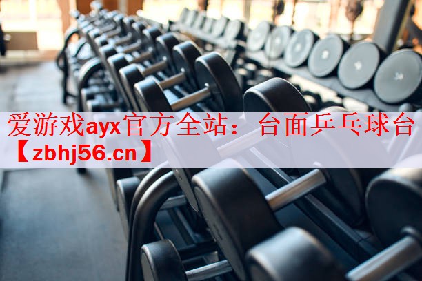 台面乒乓球台