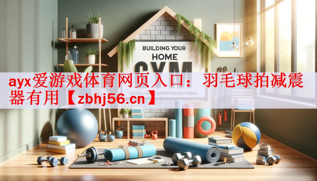 羽毛球拍减震器有用