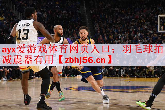 羽毛球拍减震器有用
