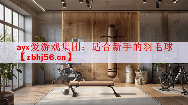 适合新手的羽毛球