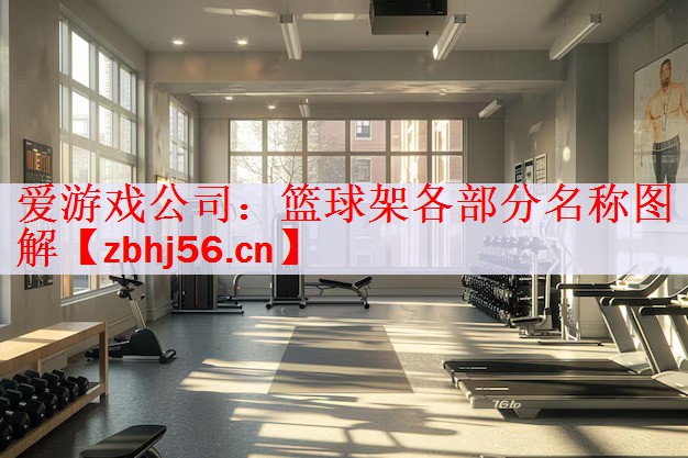 篮球架各部分名称图解