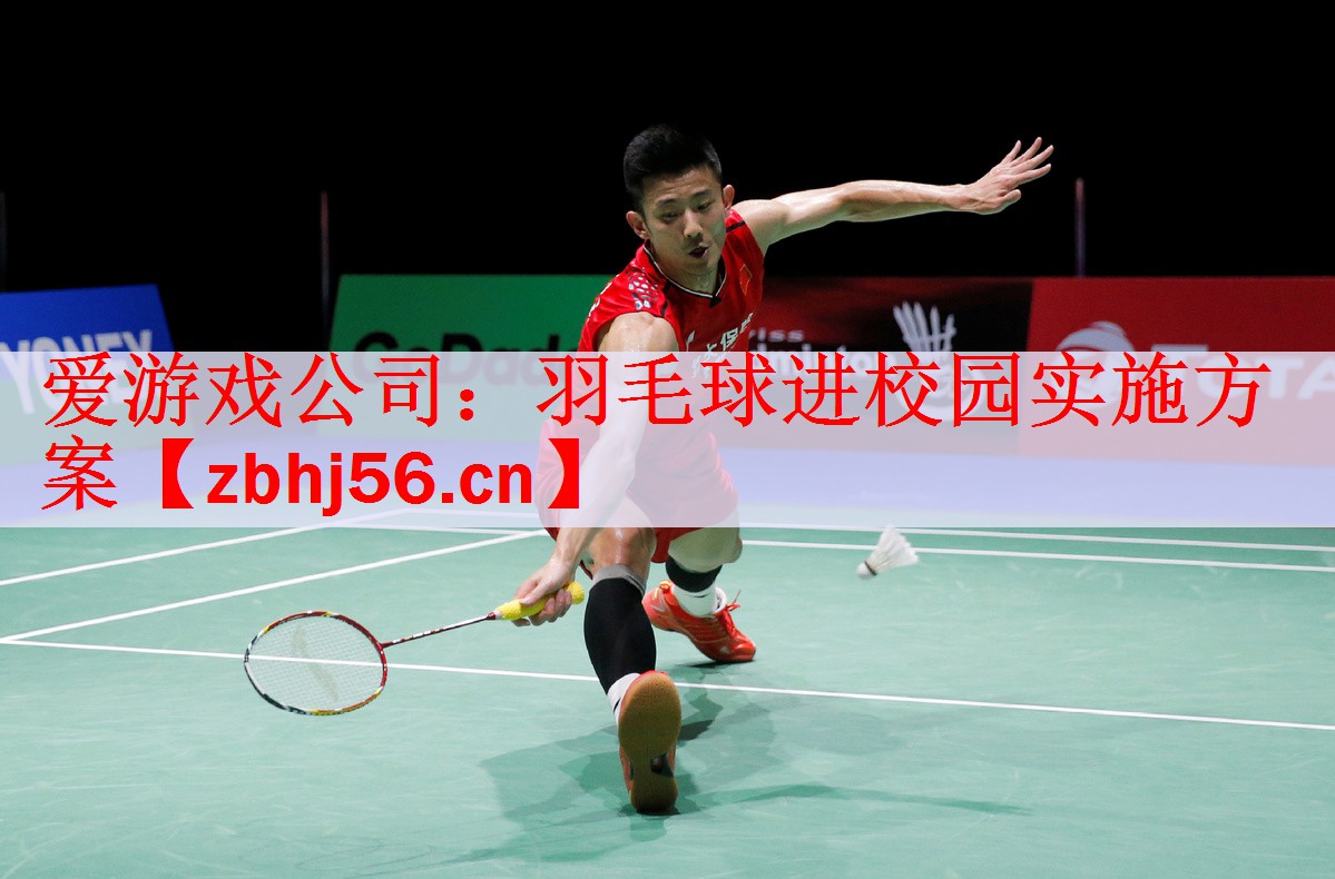 羽毛球进校园实施方案